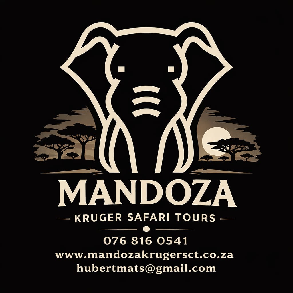 WhatsApp Image 2026-03-16 at 15.20.50 (1)