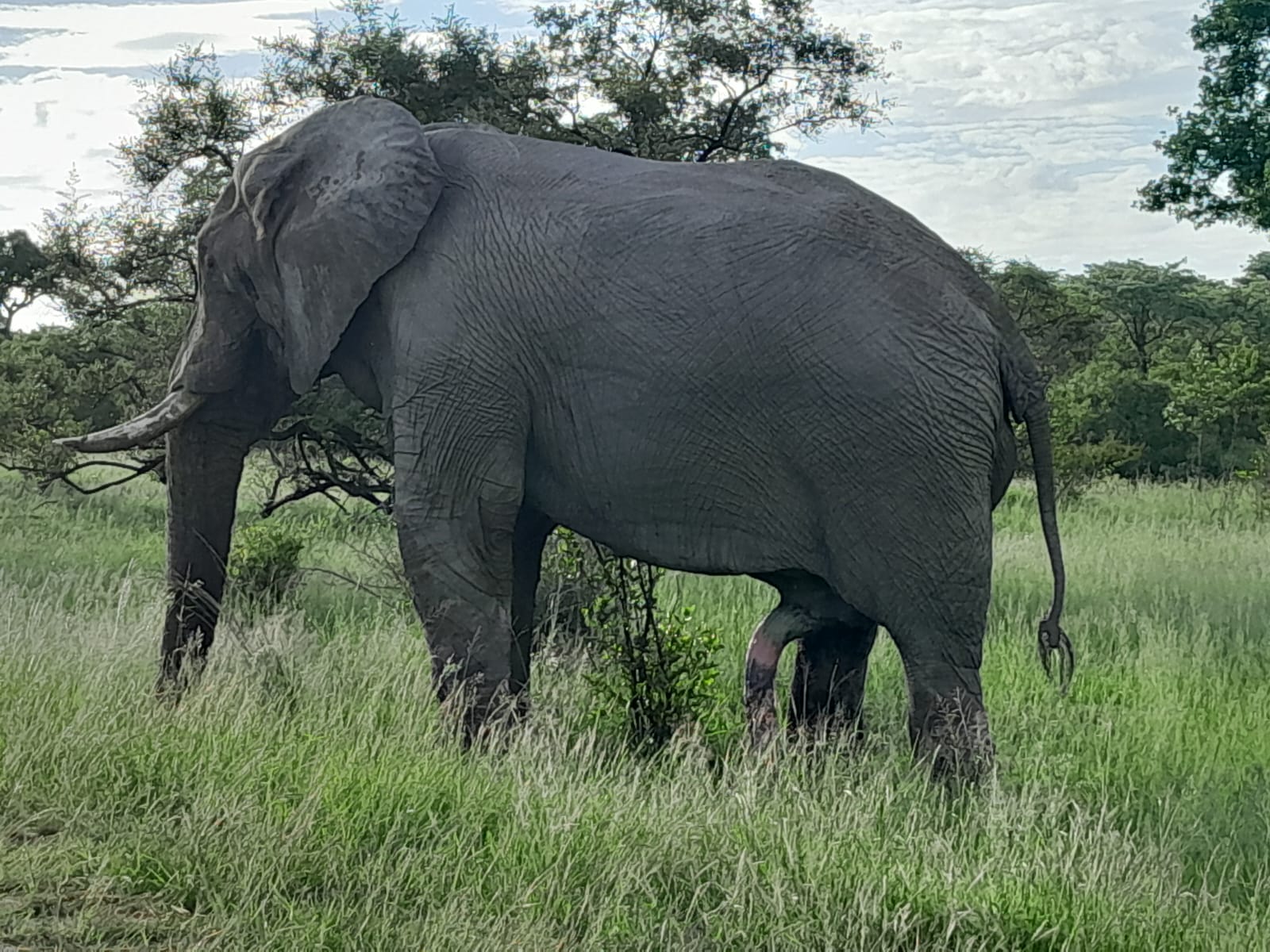 WhatsApp Image 2024-11-04 at 08.19.36