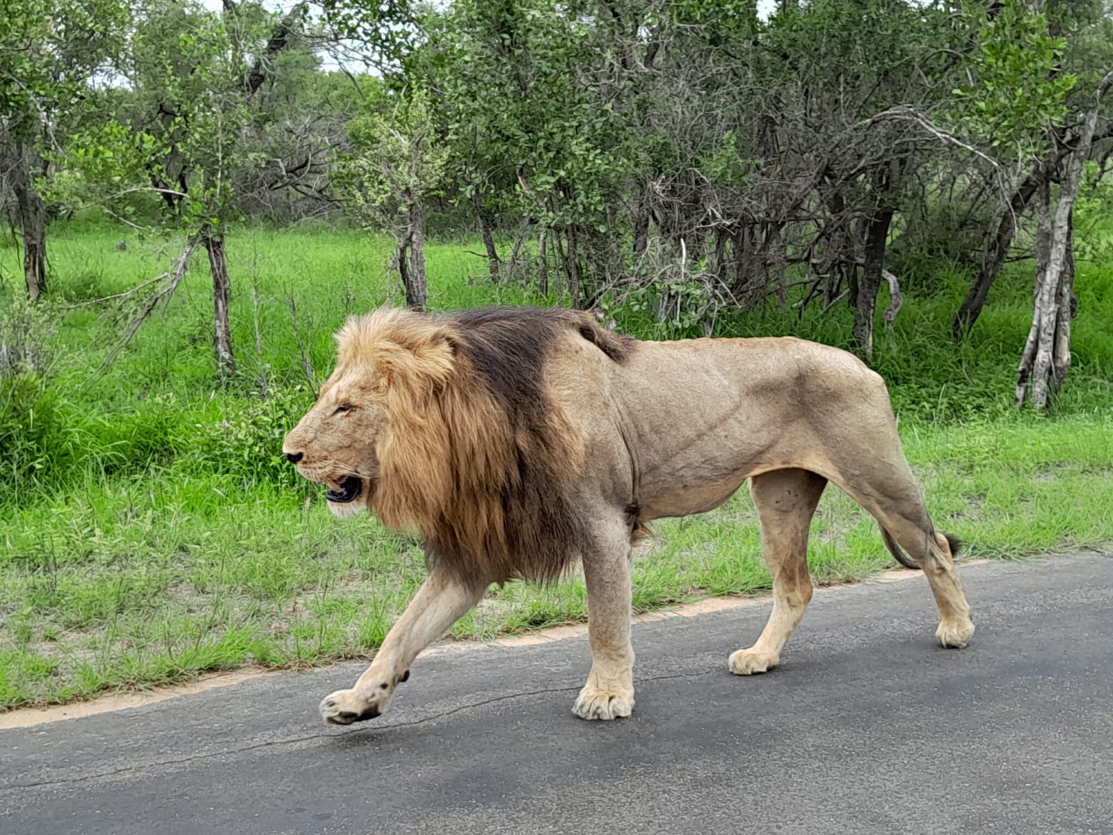 WhatsApp Image 2024-11-04 at 08.19.37