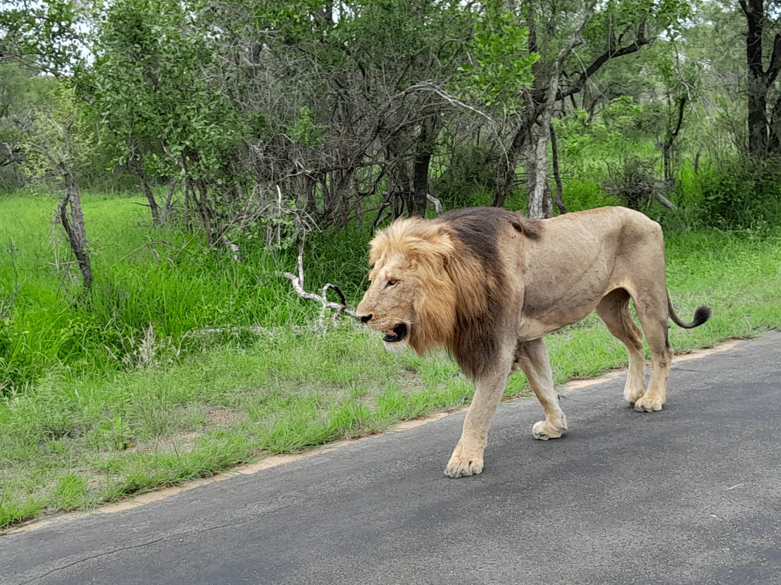 WhatsApp Image 2024-11-04 at 08.19.38