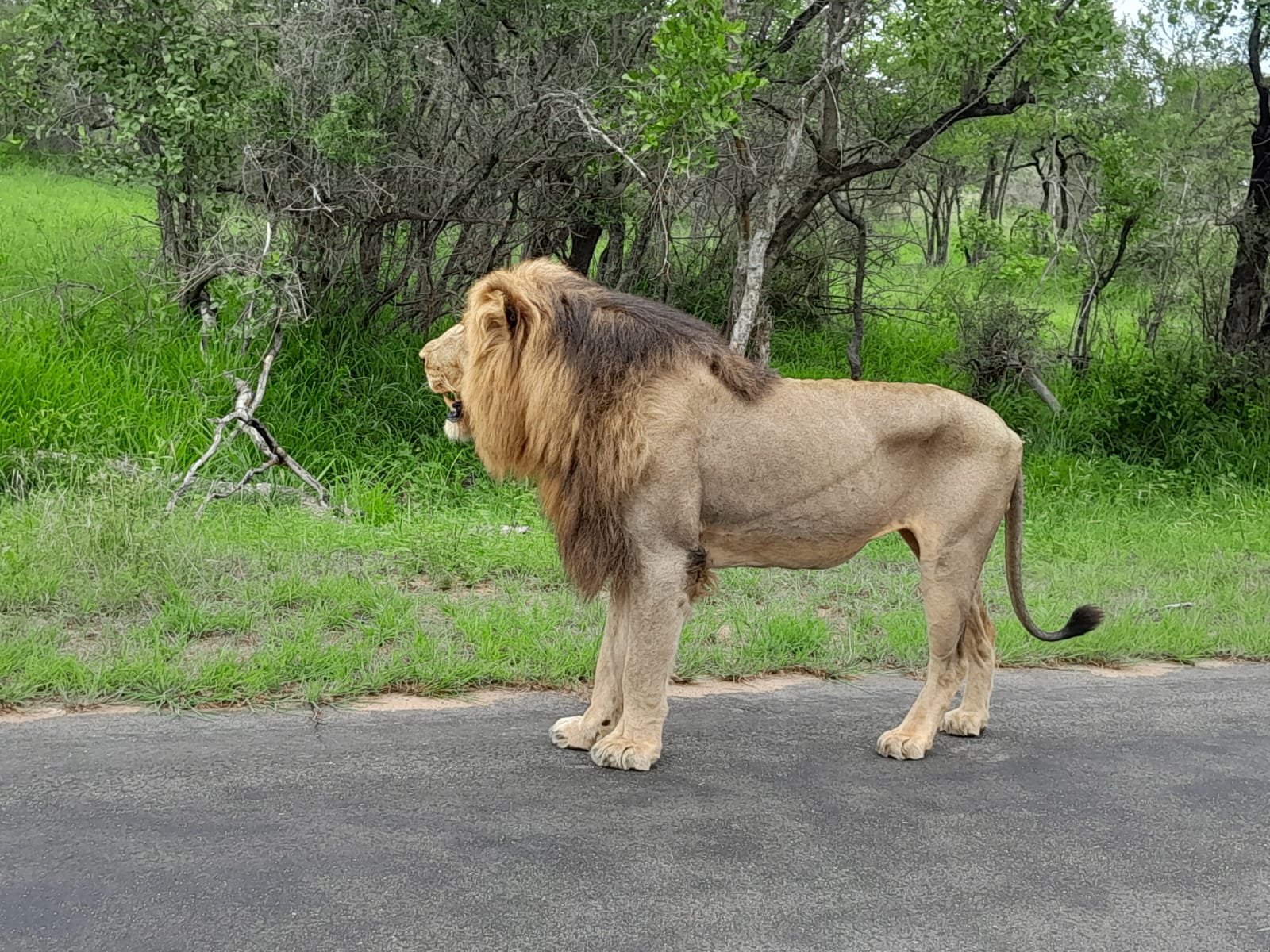 WhatsApp Image 2024-11-04 at 08.19.39 (1)