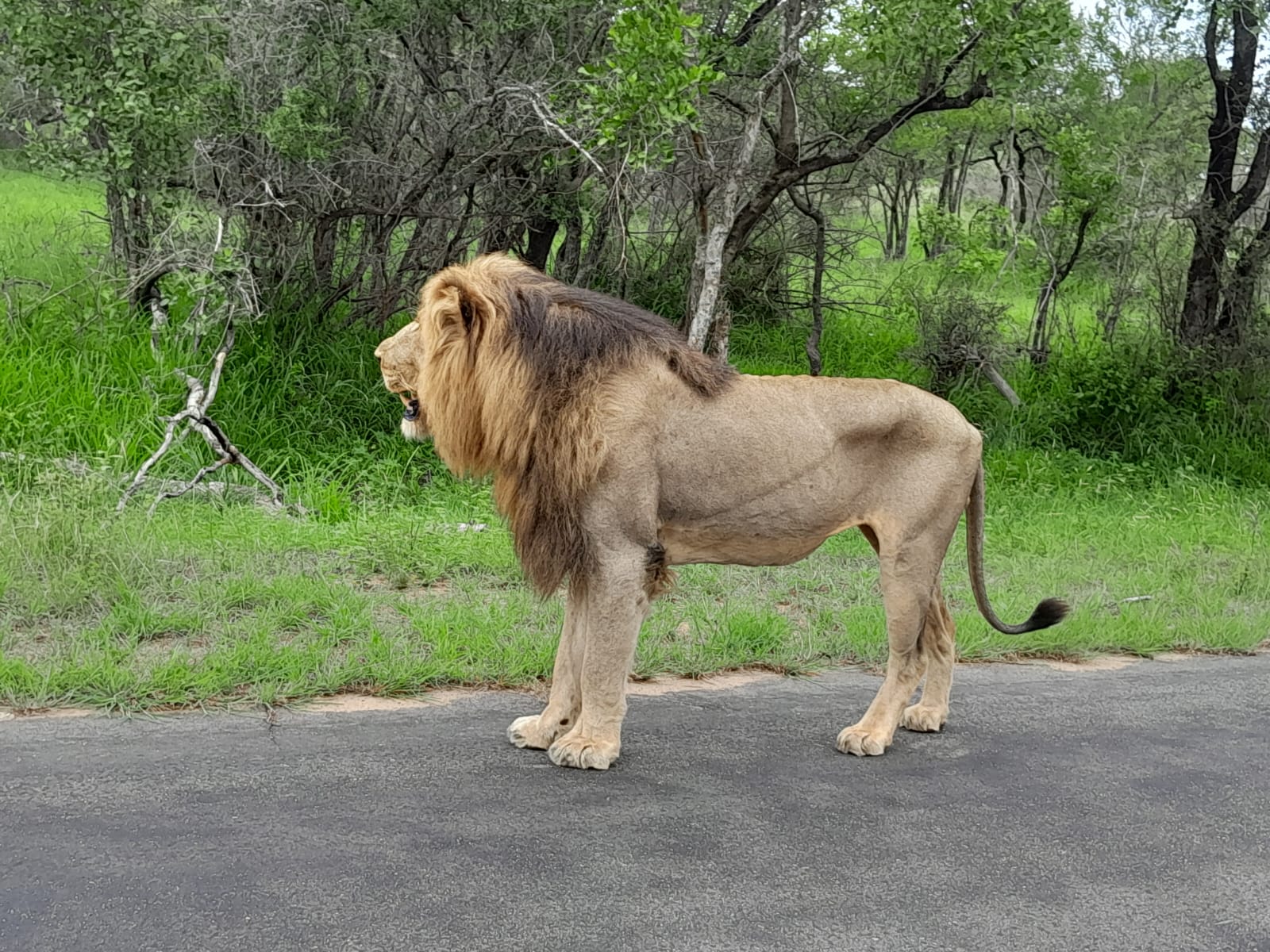 WhatsApp Image 2024-11-04 at 08.19.40