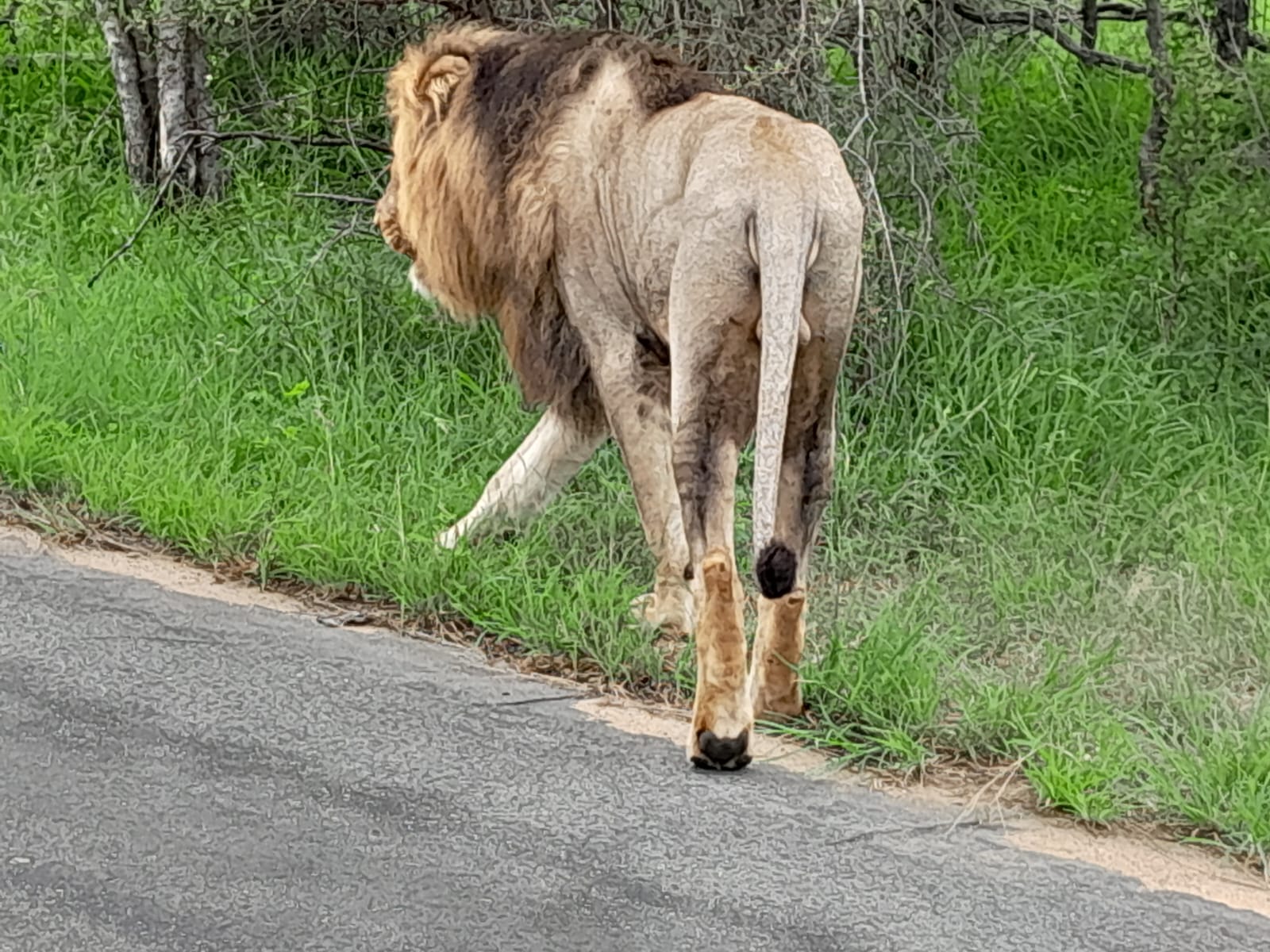 WhatsApp Image 2024-11-04 at 08.19.41 (1)