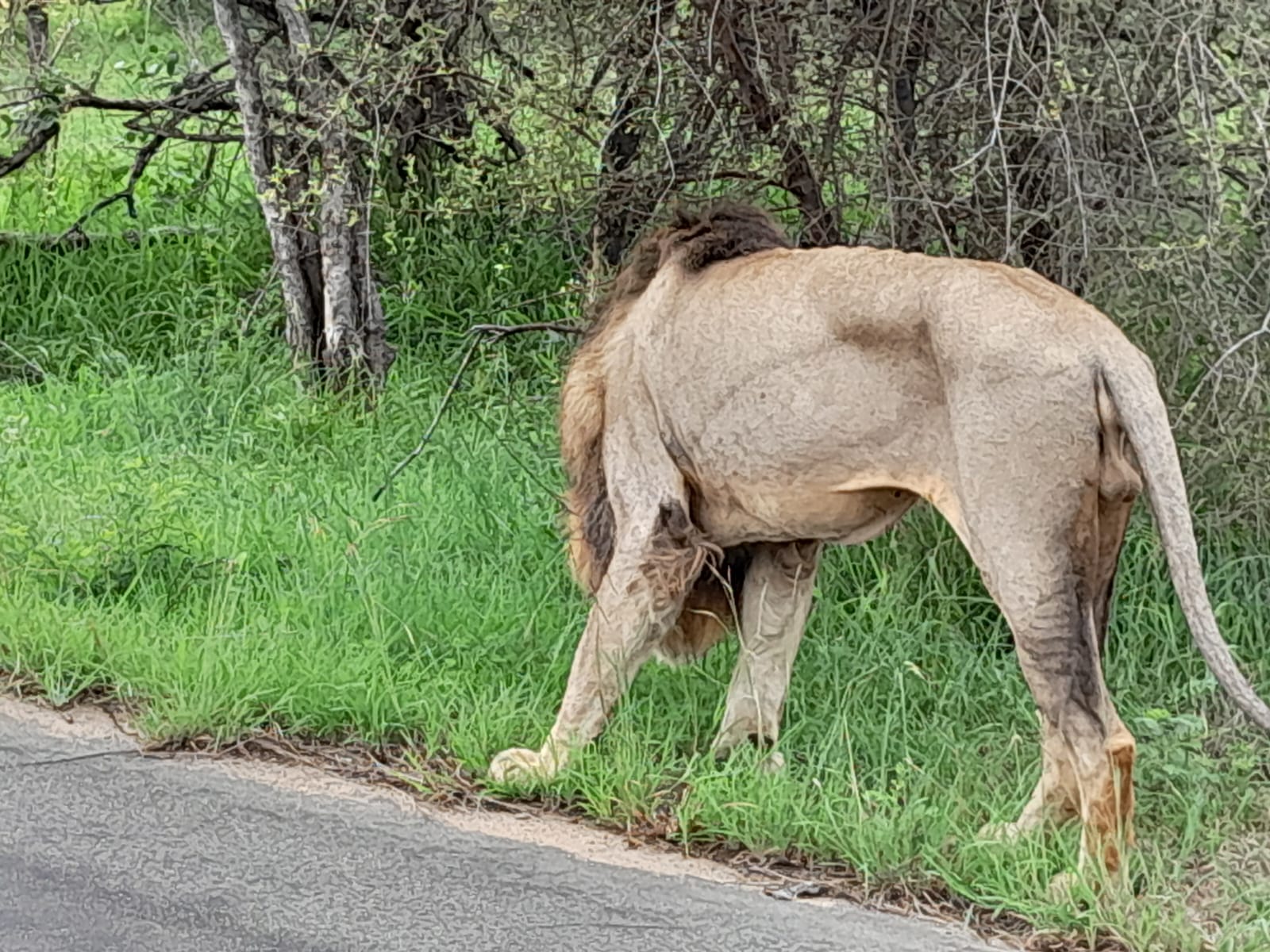 WhatsApp Image 2024-11-04 at 08.19.41