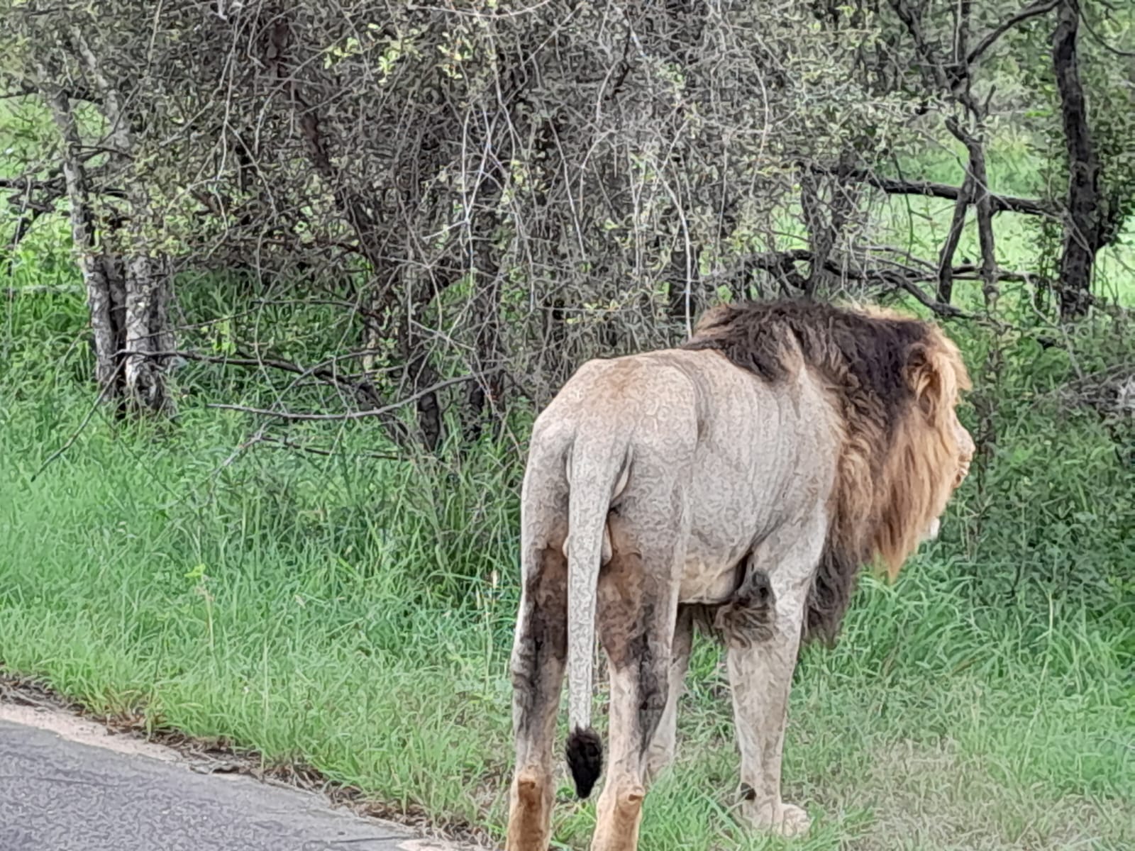 WhatsApp Image 2024-11-04 at 08.19.42