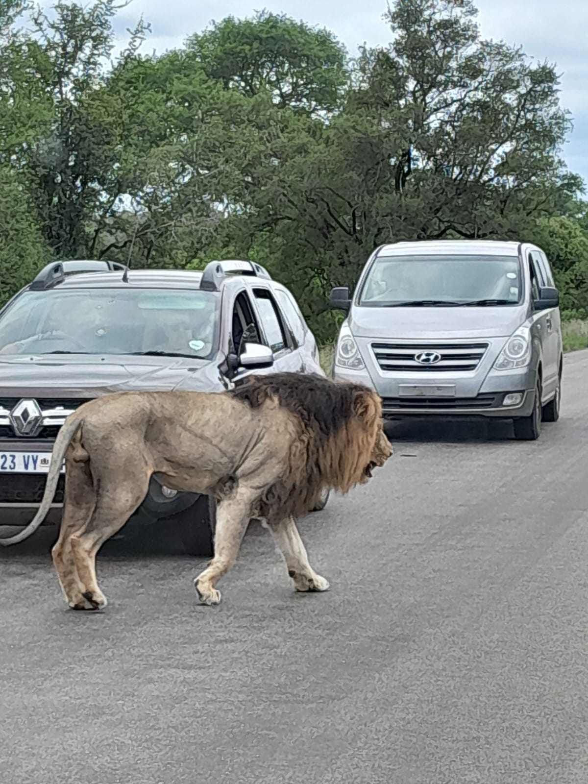 WhatsApp Image 2024-11-04 at 08.19.44