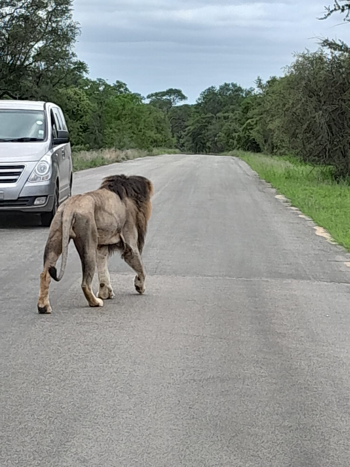 WhatsApp Image 2024-11-04 at 08.19.45