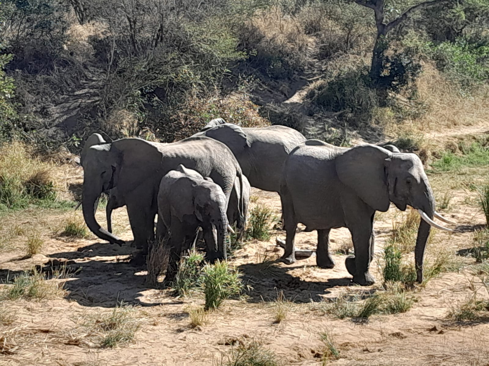 WhatsApp Image 2024-11-04 at 08.35.36