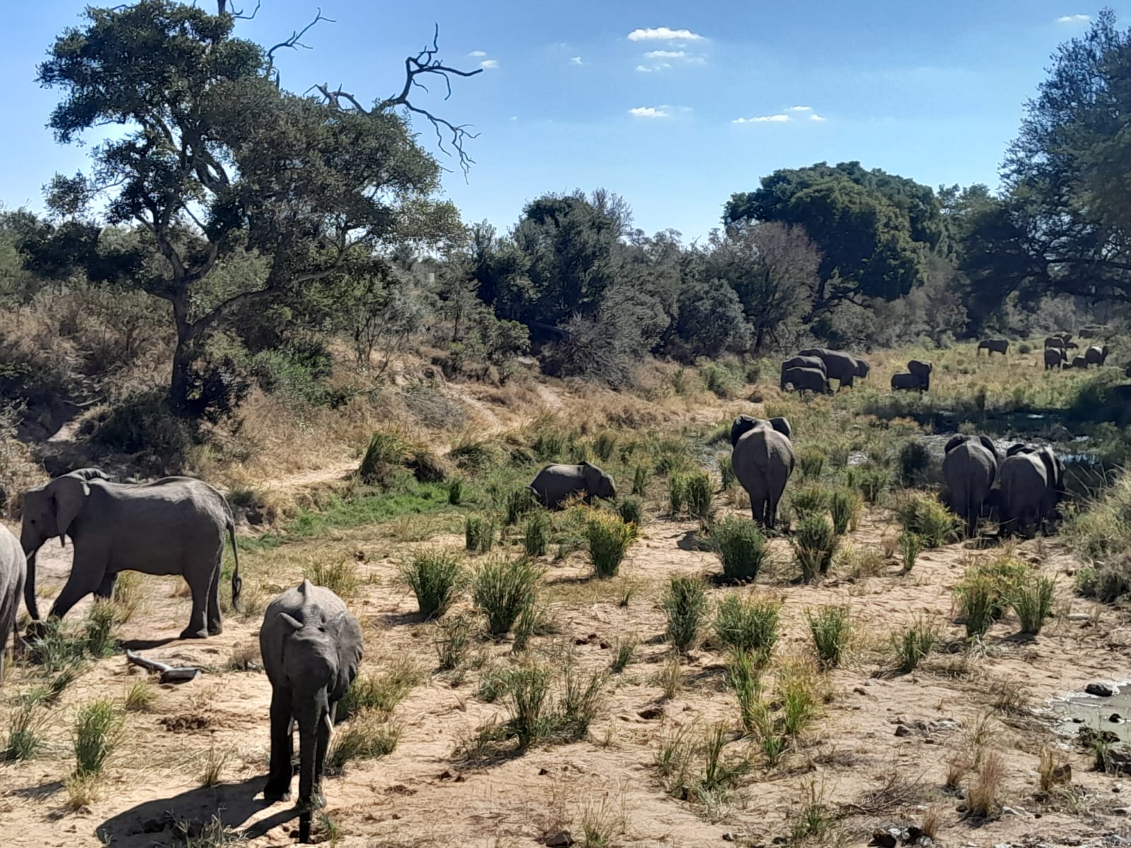 WhatsApp Image 2024-11-04 at 08.35.38