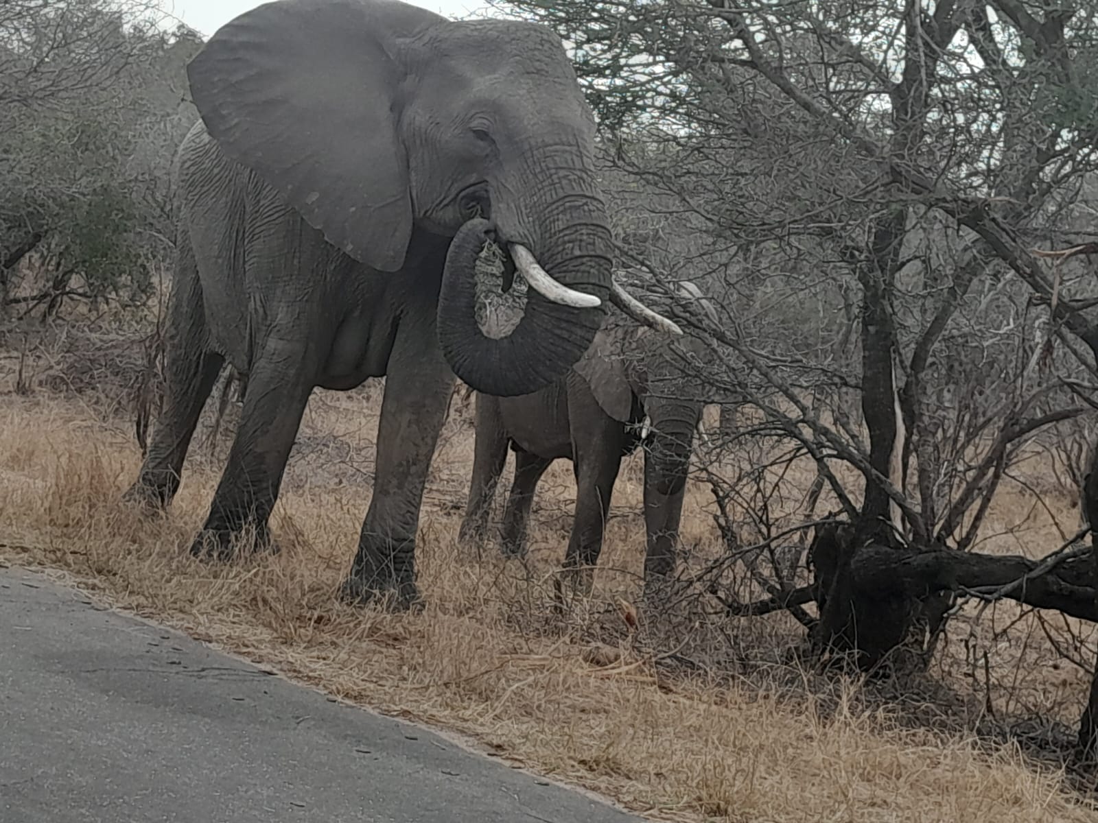 WhatsApp Image 2024-11-04 at 08.35.44