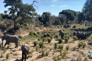 WhatsApp Image 2024-11-04 at 08.35.38