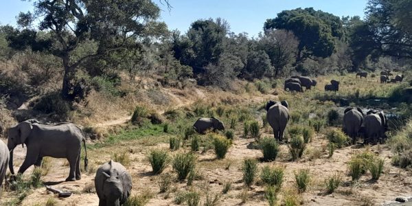 WhatsApp Image 2024-11-04 at 08.35.38